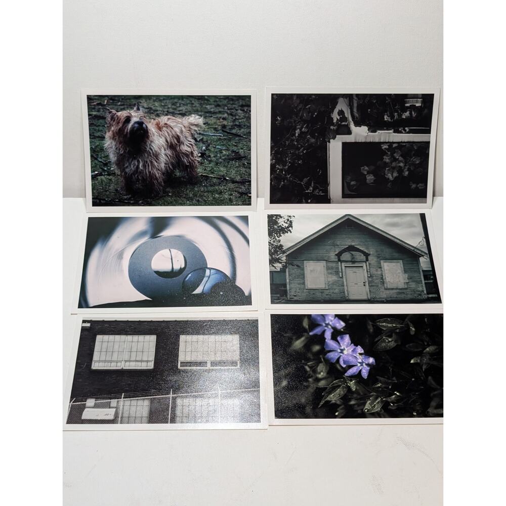 Peter Falb Photo Print Lot of 6 5x7 Moody Art Dog House Floral Abstract